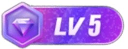 等级-LV5-光鸭·臻影社