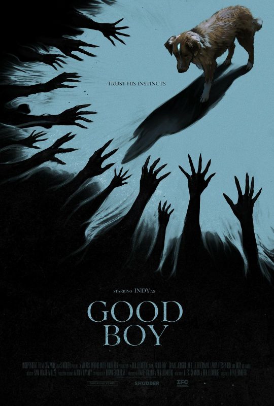 好狗狗 Good Boy (2025)-光鸭·臻影社