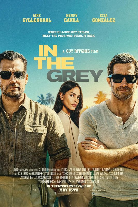 金谍行动 In the Grey (2026)-光鸭·臻影社
