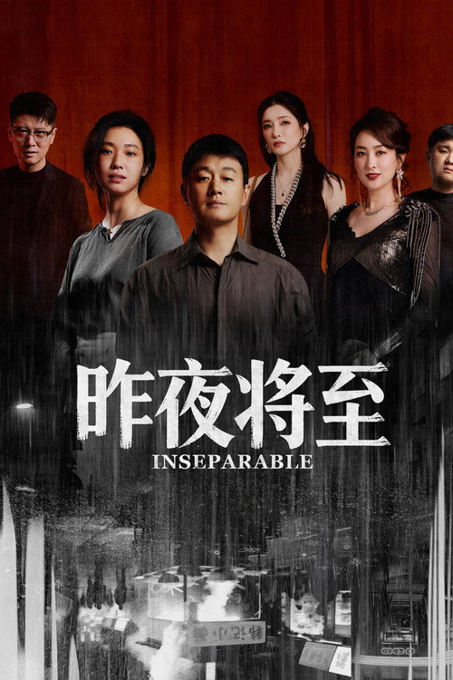 昨夜将至 (2026)-光鸭·臻影社